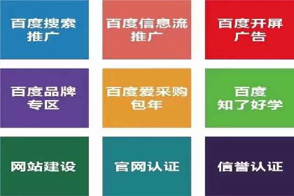 SEM托管公司案例研究：优化策略解析